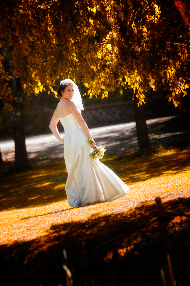 Willow tree at Crockstead farm Hotel