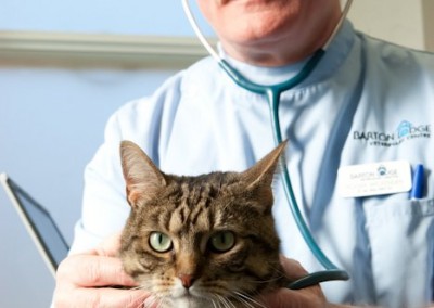 vets photograher