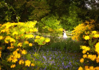 Wedding Photography at Buxted park