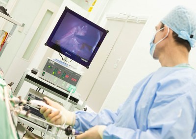 Vet Photography